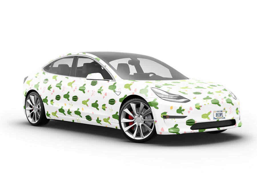 Desert Men Cacti Vehicle Vinyl Wrap
