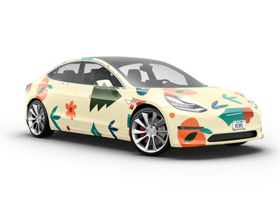 Diamond State Americana Vehicle Vinyl Wrap