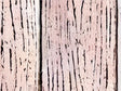Distressed Blush Wood Plank Vinyl Wrap Pattern~Rwraps Series 914 Digitally Printed Vinyl Wrap~0