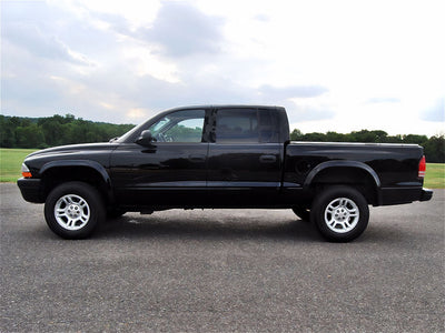 dodge dakota 1997-2004 (quad cab) Camo Pillar Trim