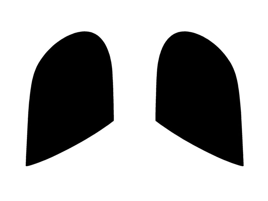 neon Precut Tail Light Tint Diagram