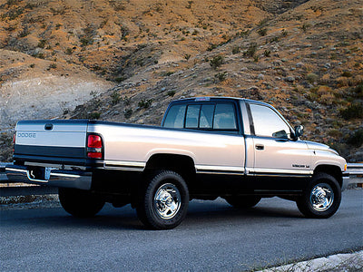dodge ram 1994-2001 (regular cab) Camo Pillar Trim