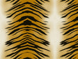 Dojo Tiger Vinyl Wrap Pattern~Rwraps Series 914 Digitally Printed Vinyl Wrap~0
