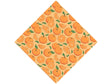 Drink Tang Fruit Vinyl Wrap Pattern