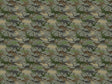 Earth Kings Dinosaur Vinyl Wrap Pattern~Rwraps Series 914 Digitally Printed Vinyl Wrap~0