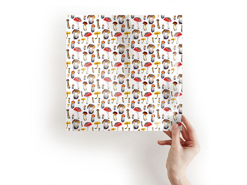 edible decay mushroom Craft Sheets