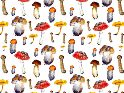 Edible Decay Mushroom Vinyl Wrap Pattern~Rwraps Series 914 Digitally Printed Vinyl Wrap~0