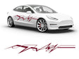 3M Burgundy EKG Body Graphic~Full Side Auto Decal Kit~0