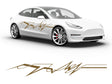 3M Gold EKG Body Graphic~Full Side Auto Decal Kit~0