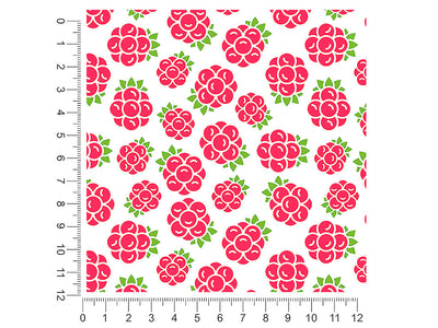 encore encore fruit 1ft x 1ft Craft Sheets