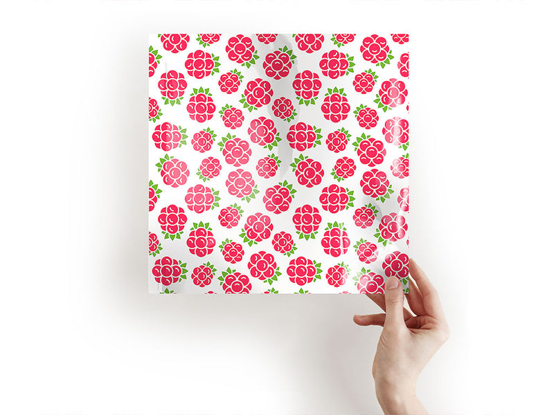 encore encore fruit Craft Sheets