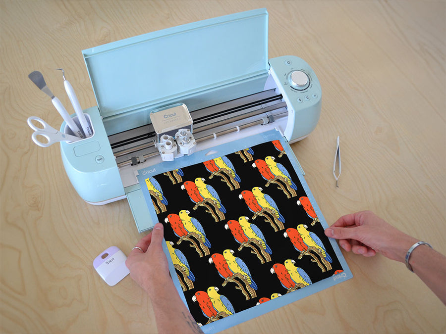 epimenides paradox bird Cricut Compatible Vinyl