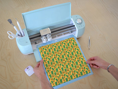 european fascination fruit Cricut Compatible Vinyl