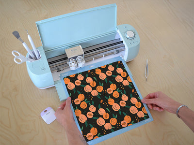 evas pride fruit Cricut Compatible Vinyl