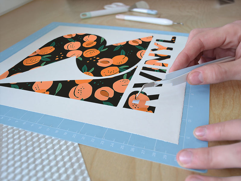 evas pride fruit Easy Weed Craft Vinyl