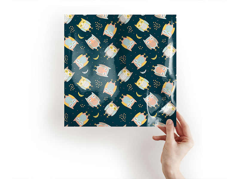 evening masters bird Craft Sheets
