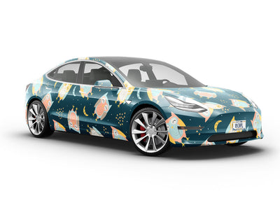 Evening Masters Birds Vehicle Vinyl Wrap