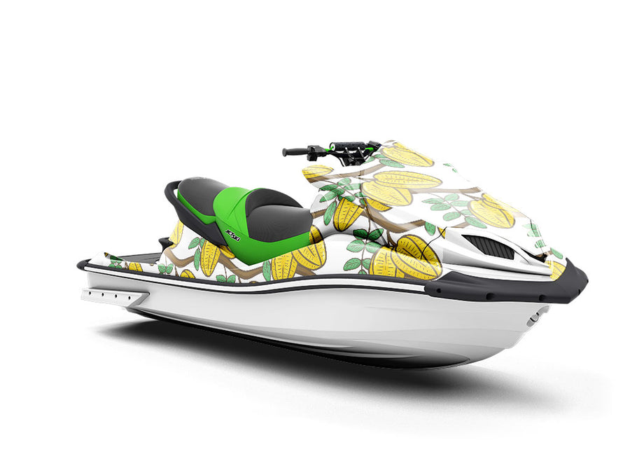 Farming Stardew Fruit Jet Ski Vinyl Customized Wrap