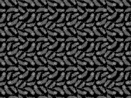 Feathered Midnight Birds Vinyl Wrap Pattern~Rwraps Series 914 Digitally Printed Vinyl Wrap~0