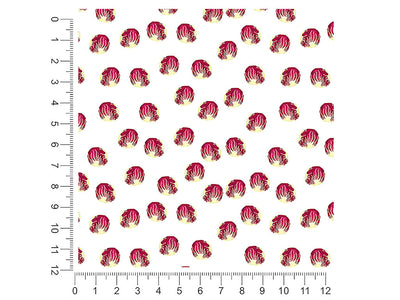 fiero radicchio vegetable 1ft x 1ft Craft Sheets