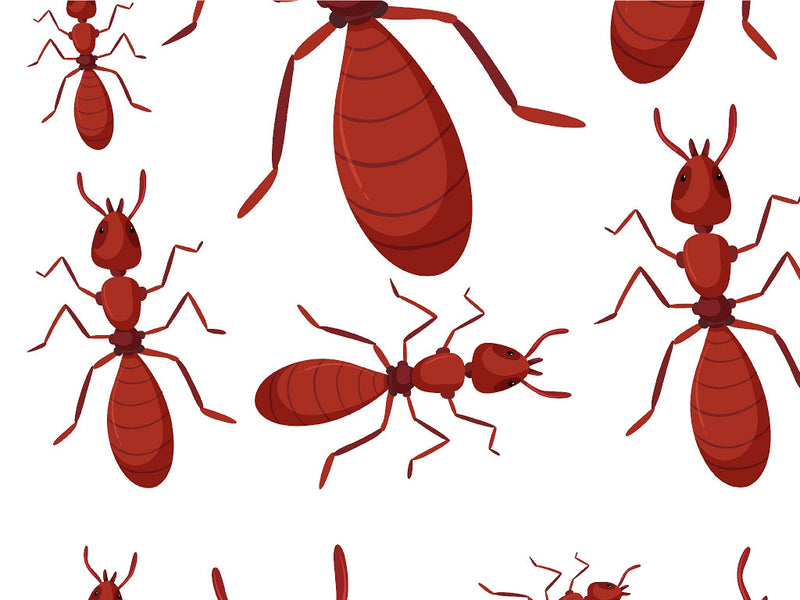 Fiery Bite Bug Vinyl Wrap Pattern~Rwraps Series 914 Digitally Printed Vinyl Wrap~0