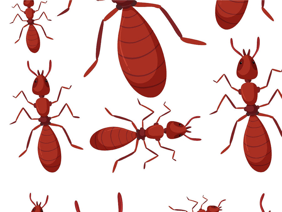 Fiery Bite Bug Vinyl Wrap Pattern~Rwraps Series 914 Digitally Printed Vinyl Wrap~0