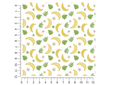 find my heart fruit 1ft x 1ft Craft Sheets