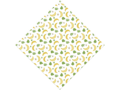 Find My Heart Fruit Vinyl Wrap Pattern