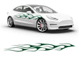 3M Dark Green Flames in the Wind Body Graphic~Full Side Auto Decal Kit~0
