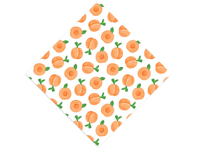 Florida Dawn Fruit Vinyl Wrap Pattern