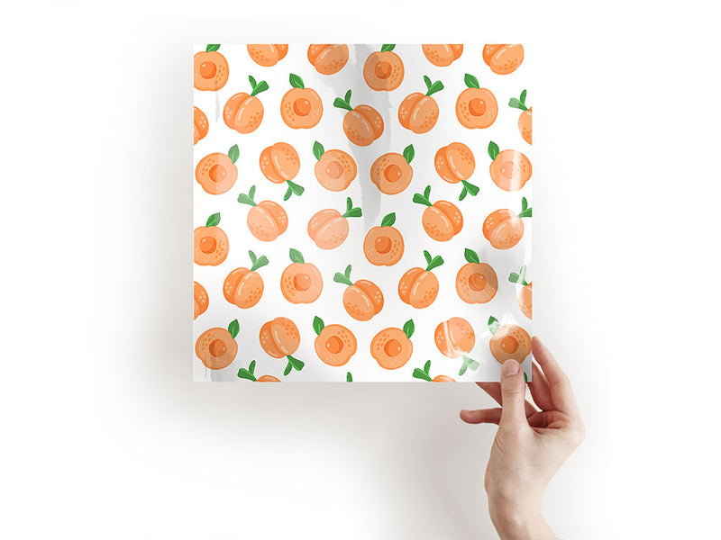 florida dawn fruit Craft Sheets