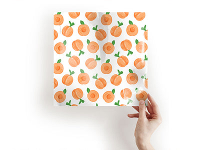 florida dawn fruit Craft Sheets