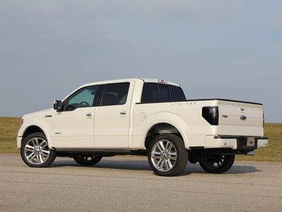 f-150 Blackout Tail Light TInt~1~0