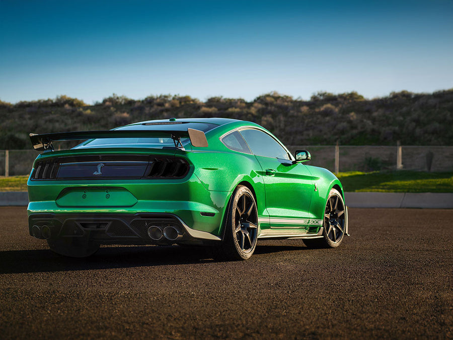 shelby gt500 Blackout Tail Light TInt~1~0