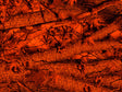 Forest Inferno Camouflage Vinyl Wrap Pattern~Rwraps Series 914 Digitally Printed Vinyl Wrap~0