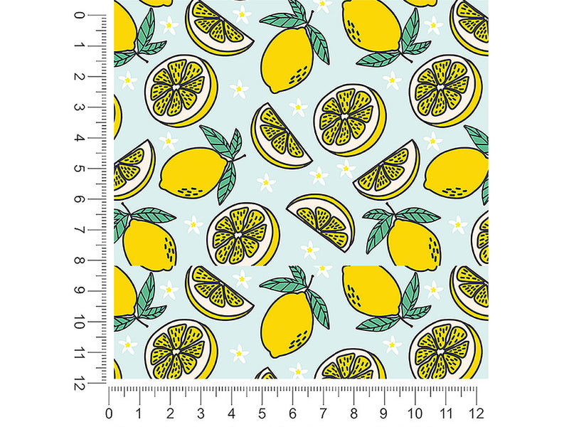 four seasons fruit 1ft x 1ft Craft Sheets