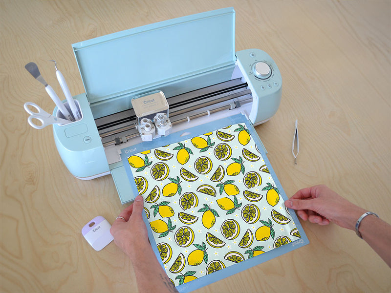 four seasons fruit Cricut Compatible Vinyl