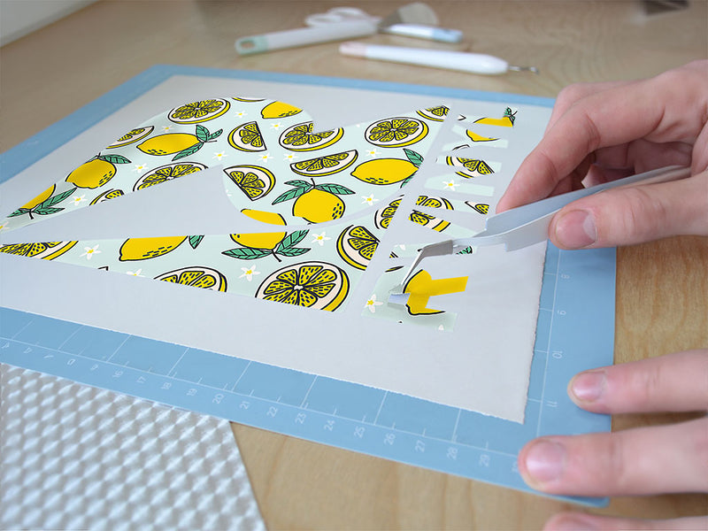 four seasons fruit Easy Weed Craft Vinyl