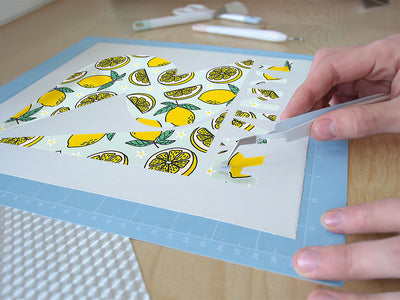 four seasons fruit Easy Weed Craft Vinyl