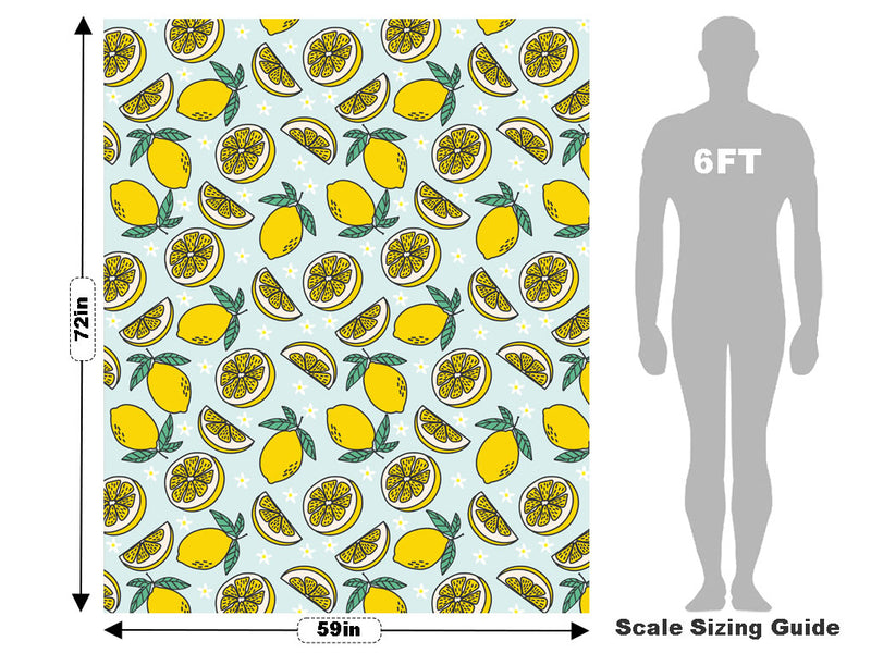 Four Seasons Fruit Vehicle Wrap Scale~Rwraps Series 914 Four Seasons Fruit Measurements~1