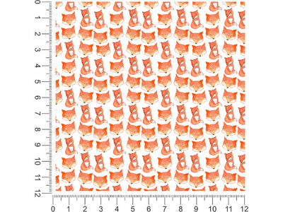 foxy frenzy animal 1ft x 1ft Craft Sheets