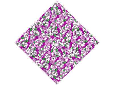 Franken-steen  Fruit Vinyl Wrap Pattern