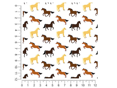 free spirit western 1ft x 1ft Craft Sheets