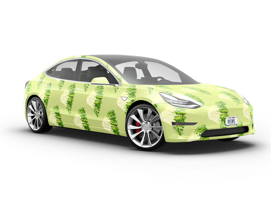 Frizzy Frisee Vegetable Vehicle Vinyl Wrap