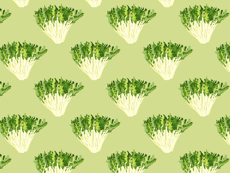 Frizzy Frisee Vegetable Vinyl Wrap Pattern~Rwraps Series 914 Digitally Printed Vinyl Wrap~0
