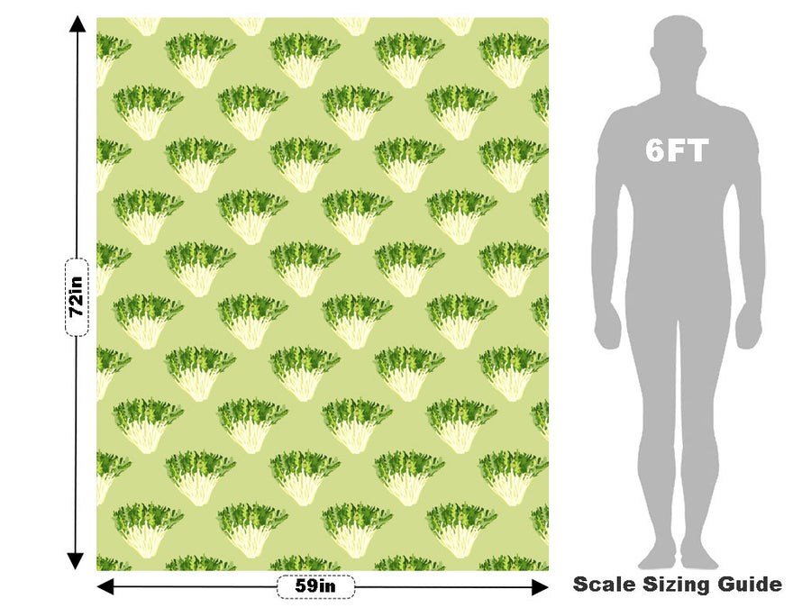 Frizzy Frisee Vegetable Vehicle Wrap Scale~Rwraps Series 914 Frizzy Frisee Vegetable Measurements~1