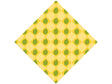 Fruit King Fruit Vinyl Wrap Pattern