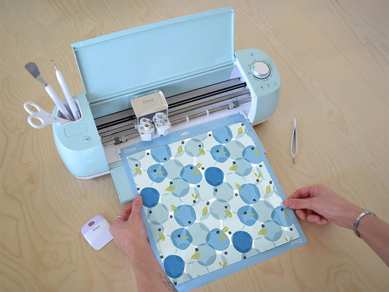 fruit stain fruit Cricut Compatible Vinyl