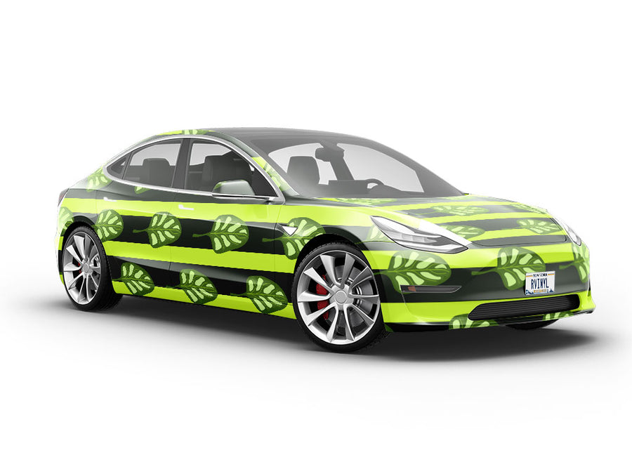 Galilean Spinach Vegetable Vehicle Vinyl Wrap