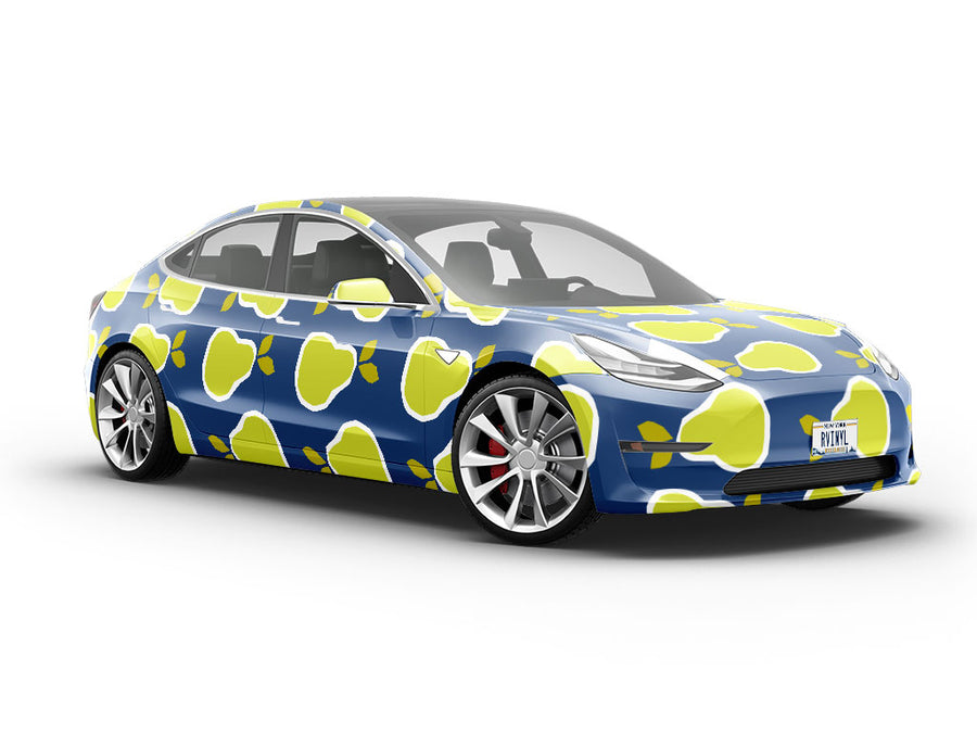 Geometric Sunrise Fruit Vehicle Vinyl Wrap